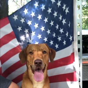 Meet your Posher, Eddy